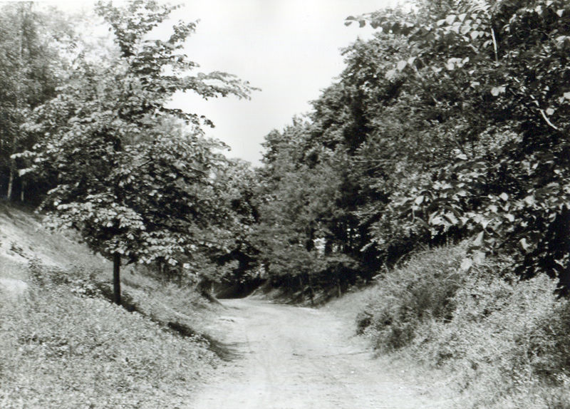 Datei:Wolfsschlucht 1935 img143.jpg