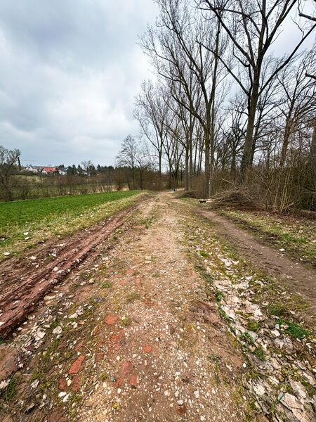 Datei:Egersdorfer Straße Bodendenkmal Mrz 2024 13.jpg