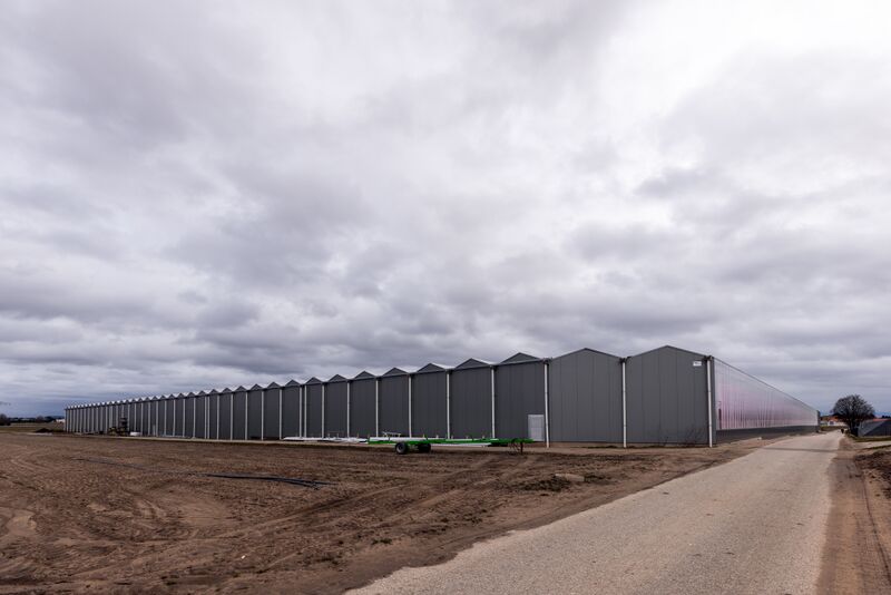 Datei:Gemüse Hofmann Poppenreuth Feb 2022 1.jpg