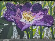 2025 08 10 Graffiti Mauer jüd Friedhof ggüb Stadthalle.jpg