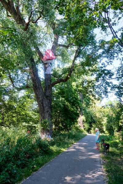Datei:Frei Luft Galerie 2023 39.jpg