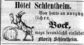 Hotel Schlentheim 1865.jpg