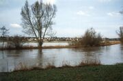 NL-FW 09 KP 390 Hochwasser Stadeln 1999.2.jpg