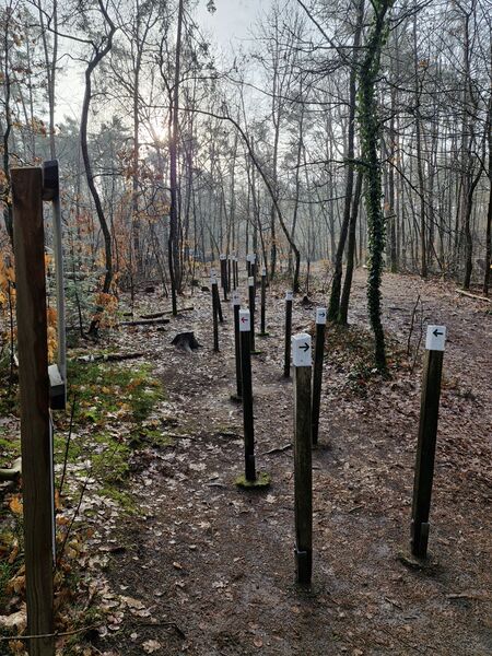 Datei:Vitaparcours station 14.jpg