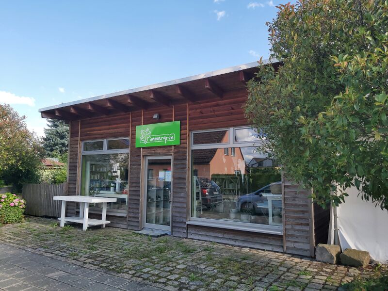 Datei:Immergrün 01.08.2023.jpg