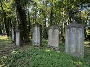 20240901 FUERTH ALTER JUEDISCHER FRIEDHOF 009.jpg