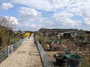 20240319 Kleingarten Sack.jpg