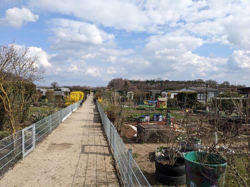 Datei:20240319 Kleingarten Sack.jpg