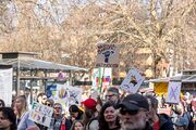 Fürth Demo Vielfältig Standhaft Solidarisch Feb 2026 23.jpg