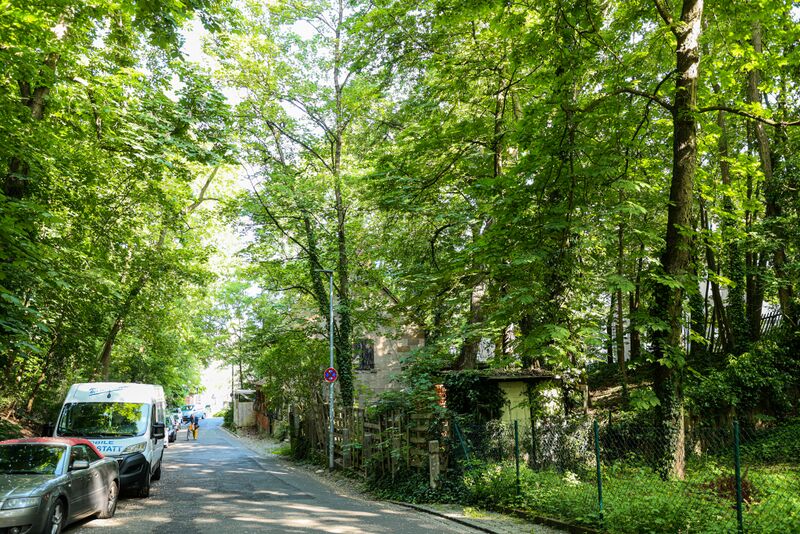 Datei:Wolfsschlucht Mai 2023.jpg