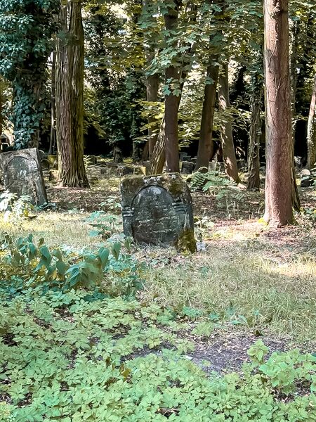 Datei:20240901 FUERTH ALTER JUEDISCHER FRIEDHOF 008.jpg