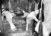 Rinder im Schlachthof A2223.jpg