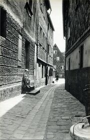 Gänsberg ca 1955 2.jpg