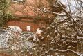 Winter Impressionen im Garten der alten Villa <!--LINK'" 0:25--> im Februar <!--LINK'" 0:26-->