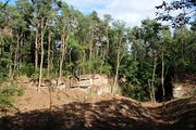 Sandsteinbrüche Stadtwald Aug 2020 3.jpg