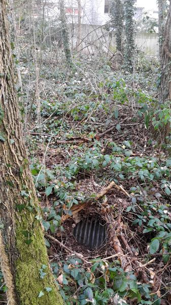 Datei:Abfluss zur Kanalisation.jpg