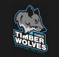 Franken Timberwolves Logo.png