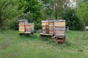Imker Verein Fürth Mainau 2019 2.jpg
