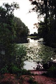 NL-FW 04 907 KP Schaack Waldmannsweiher 06 1994.jpg