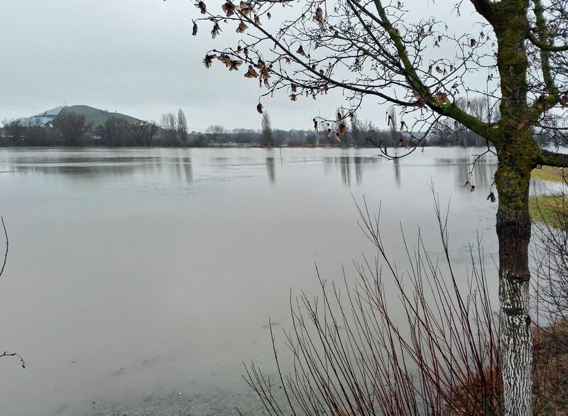 Datei:Überschwemmung Wiesengrund 2021.jpg