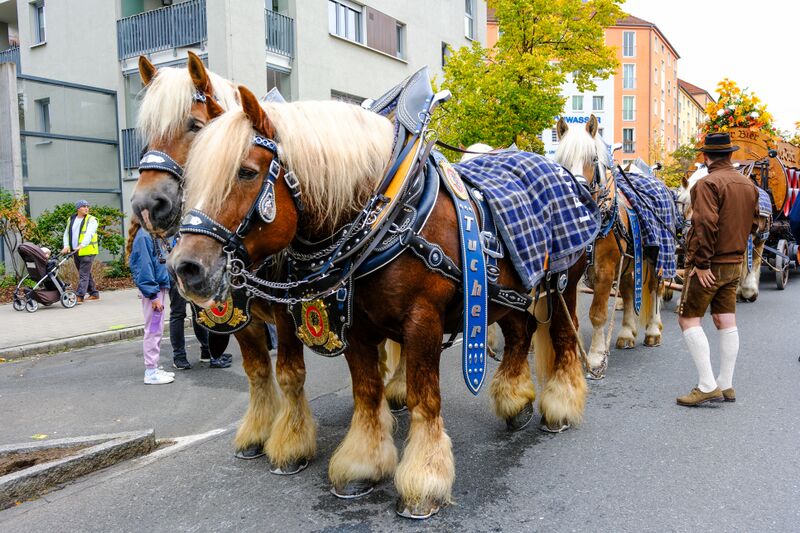 Datei:Erntedankfestzug Okt 2025 117.jpg