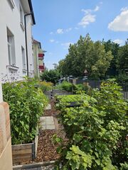 Garten Landwirtschaftsschule Gewächshaus Außenbepflanzung 1.jpg