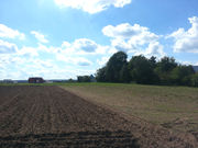 Höfener Spange 19.jpg