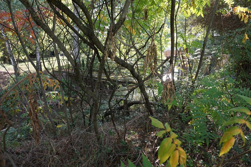 Datei:Mühle Flexdorf11.jpg