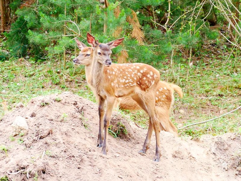 Datei:20190609 174135.jpg