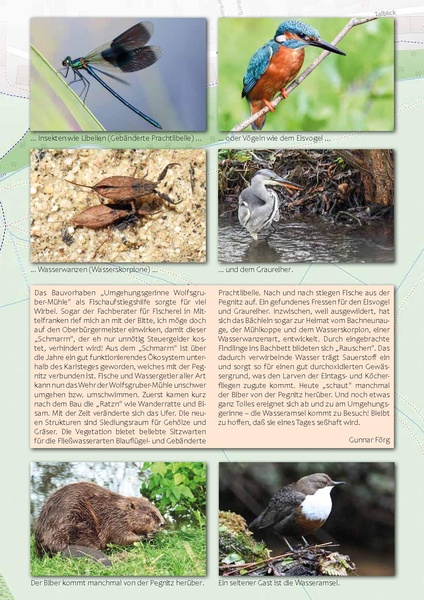 Datei:Altstadtblaeddla 056 2023.pdf