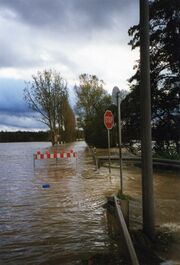 NL-FW 09 KP 495 Hochwasser Stadeln 1998.1.jpg