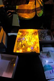 Glanzlichter 2019 Ufer 9.jpg