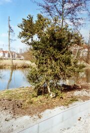 NL-FW 04 2282 KP Schaack Uferpromenade 11.3.2007.jpg