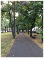 Willy-Brandt-Anlage 2013.png