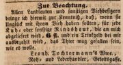 Anzeige Witwe Tochtermann, Fürther Tagblatt 16. Oktober 1850.jpg