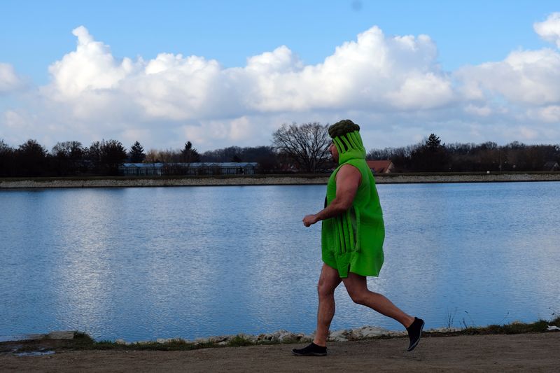 Datei:Eisschwimmer Jan 2021 1.jpg