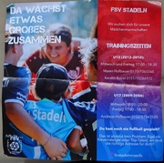FSV Stadeln Flugblatt.2023.pdf