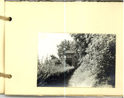 Grüner Park Blatt 12.jpg