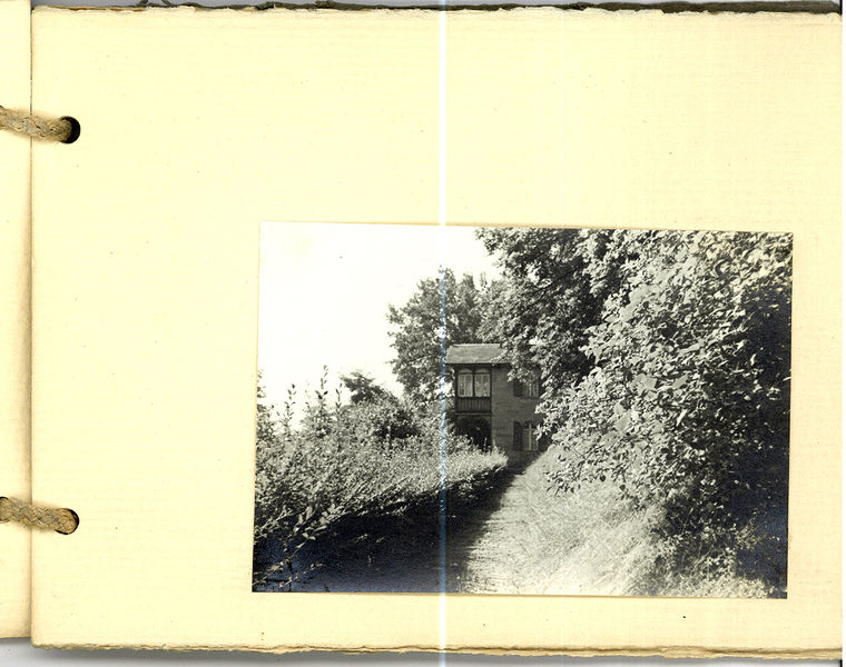 Datei:Grüner Park Blatt 12.jpg