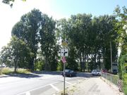 Höfener Spange 13.jpg