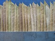 2006-10-22 11-33-08.jpg