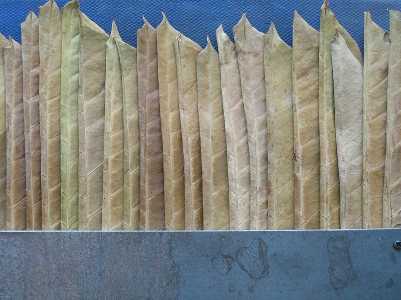 Datei:2006-10-22 11-33-08.jpg