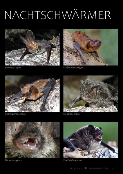 Datei:Altstadtblaeddla 057 2024.pdf