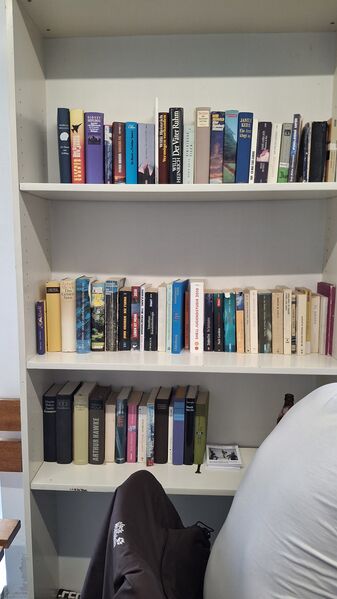 Datei:Buchtauschregal im SB-Waschsalon 13.02.26.jpg