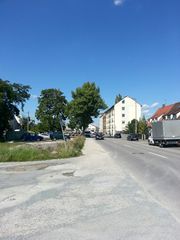 Höfener Spange 12.jpg