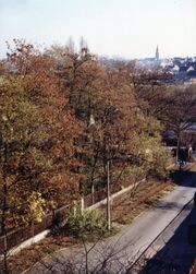 NL-FW 04 0288 KP Schaack Grünerpark 18.11.78.jpg