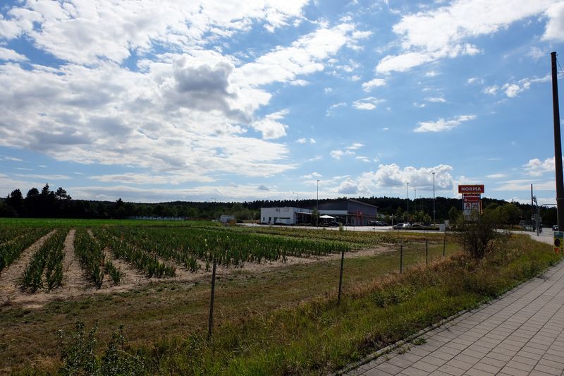 Datei:Reichsbodenfeld Aug 2020 1.jpg