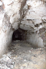 Bergbräu Keller 44.jpg