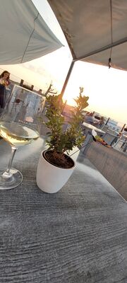 La Terrazza 20210723 204103.jpg