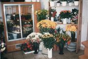 Ladenansicht 1998.2.JPG